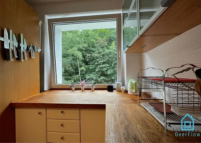 民宿 Elk 索波特